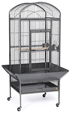 Prevue Pet Products Dometop Bird Cage - for Parrots, Conures, Caiques, Small Cockatoos, Big Bird Cage with Wheels, Indoor or Outdoor - Large, Black Hammertone