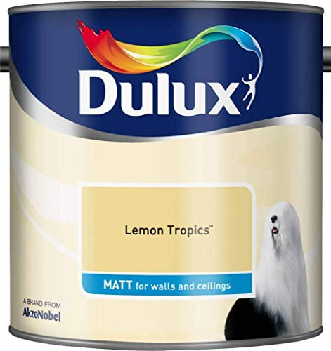Dulux 500006