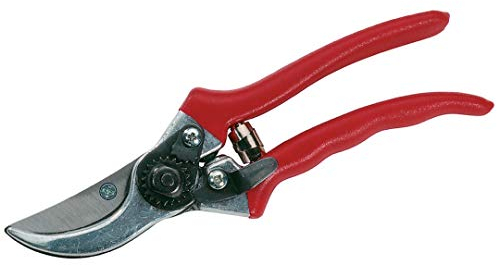 Connex Gartenschere 210 mm / Baumschere / Blumenschere / Gartenschere / Strauchschere / FLOR70330