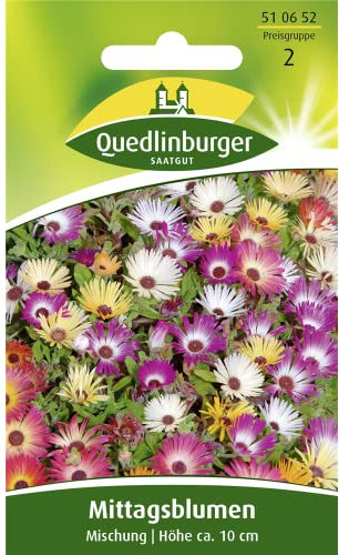 Mittagsblume, Mischung