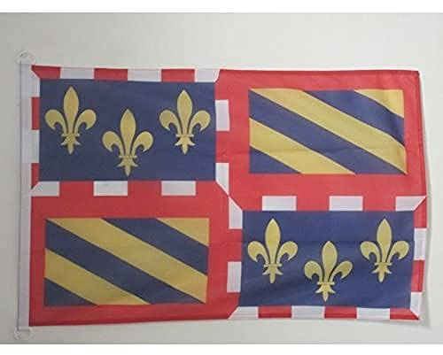 AZ FLAG - Drapeau Bourgogne Spécial Extérieur - 90x60 cm - Pavillon Nautique Bourguignon - France En Maille Bloquée Avec Anneaux Plastiques Intégrés - 80g