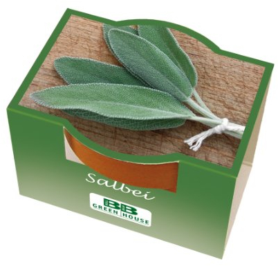 Bull & Bear Mini Pflanzset Salbei Samen Set mit Tontöpfchen mit Salbeisamen und Pflanzsubstrat