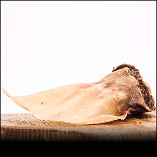 Rinderohren mit Muschel - 1000g | Deutsche Ohren | Kein Import | Riesen Muschel | Kausnack von George and Bobs -