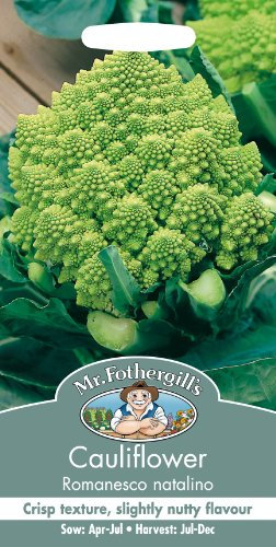 Mr Fothergills - Pictorial Packet - Vegetable - Cauliflower Romanesco Natalino - 250 Seeds