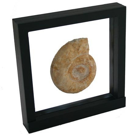 SAFE 4506 Marco flotante negro 18x18 cm - Marco para monedas - Marco 3D para monedas negro - Marco para tus objetos