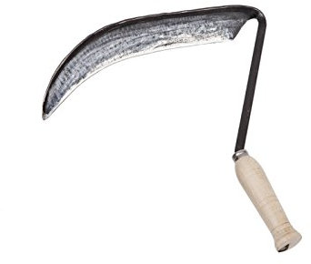 FALCI 1322087 Sichel geschmiedet und gehärtet mit Griff aus Holz, 52 cm, 1322087, Gold, 50 x 30 x 2.5 cm, 1322087