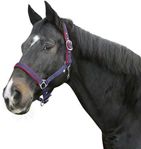 Kerbl 323586 - Cavezza Dexter con Rivestimento in Pile, Misura 3, Colore: Blu