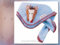 Käthe Kruse 88055 - Luckies Bandana Pferd