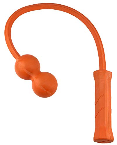 The Total Serve 2-Ball ServeMaster: Serve Tool and Swing Trainer for Tennis Training