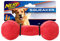 Nerf Dog Langhantelquietschspielzeug, mittelgroß