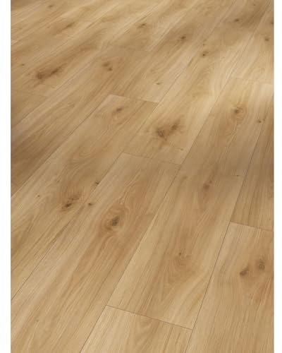 Parador Basic 400 Laminat hochwertig Eiche geschliffen hell wP1426462