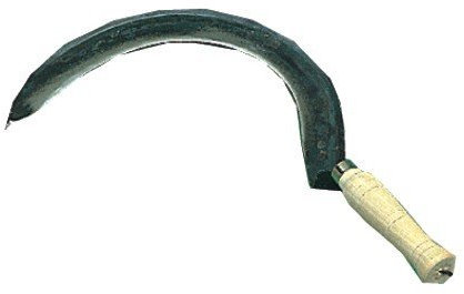 FALCIOLA Papillon Tempo N 000