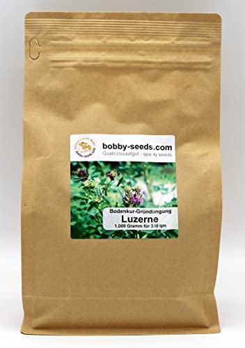 Bodenkur Luzerne - einjährige Gründüngung 1KG