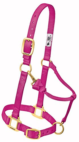 Väv läder original justerbar nylon hästgrimma sugande, hallon