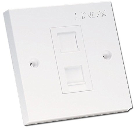 LINDY CAT6 Single Wall Plate with 1 x RJ-45 Shuttered Socket Unshielded