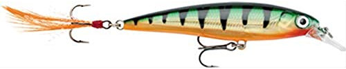 Rapala - X-Rap Angelköder - Angelzubehör mit 3D-Profil - Süßwasser Spinnköder - Schwanzfedern für zusätzliche Reize - Lauftiefe 0.9-1.5m - Fischköder 8cm, 7g - Hergestellt in Estland - Legendary Perch