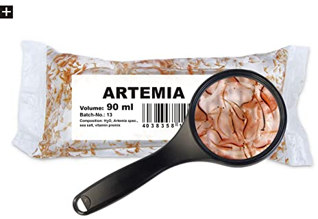 Fischfutter Lebendfutter Artemia 12x180ml = 2,16L = 1Pack