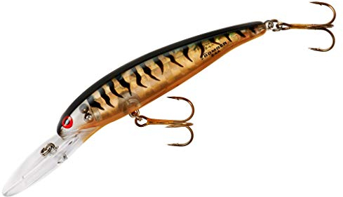 Bomber Lures Deep Long Slender Minnow Jerbait Angelköder, Angelausrüstung und Zubehör, 8,9 cm, 3/8 Unzen, Gold Prisma Black Back/Orange Belly, (B24AGPTBRO)