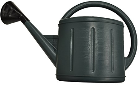Edco Pot Arrosoir 11 L – gris/vert métallique