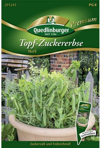 Quedlinburger 291243 Topf-Zuckererbsen Norli (Zuckererbsensamen)