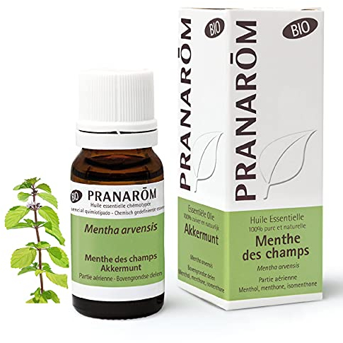 PRANAROM - Menta de Campo Bio - Aceite Esencial Quimiotipado - Digestión - Puro y Natural - HETC - 10ml