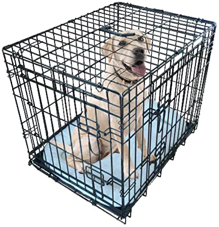 Ellie-Bo Black Deluxe Medium 30-inch Folding 2-Door Dog Cage/Crate with Metal Tray and Dog Bed Mat