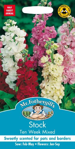 Mr Fothergill's Stock Ten Week Mixed