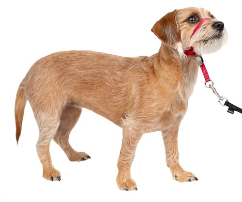 PetSafe mjuk guide halsband med tränings-DVD