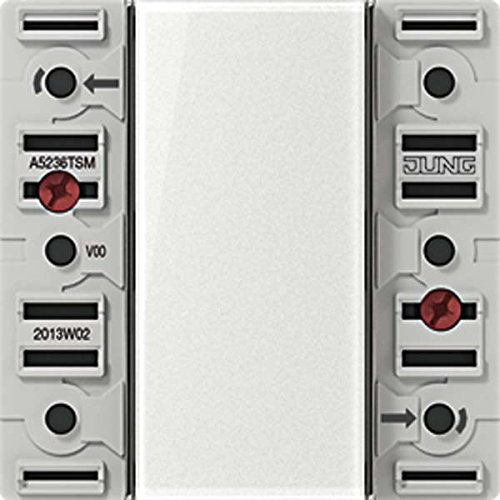 Jung Tastsensor-Modul 24 V AC/DC A5236TSM