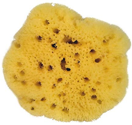Croll & DENECKE L080 Éponge Naturelle Levantine de la mer Méditerranée à Pores Fins pour Le Soin du Visage 8 cm