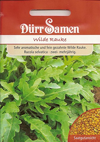 Dürr-Samen - Wilde Rauke Saatgut