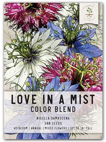 Seed Needs, Mixture of Love in A Mist Seeds - 300 Heirloom Seeds for Planting Nigella Jewels - Colorful Blooms to Attract Pollinators to a Butterfly Garden (1 Pack)