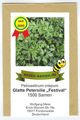 Petersilie glatt - Bienenweide - Festival - 1500 Samen