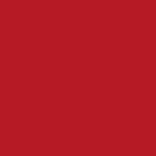 Heyda 204875568 Faltblätter transparent 20 x 20 cm Rot