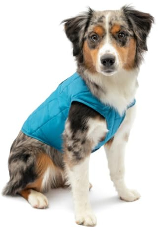 Kurgo Loft Dog Jacket - Reversible Cozy Coat for Outdoor Adventures - Water Resistant - Athletic Fit - Machine Washable Fabric - Reflective Dog Gear - Medium - Coastal Blue