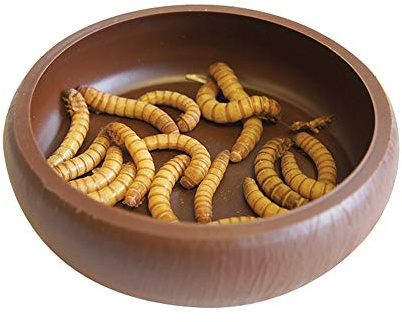 HAPPYPET Mealworm Dish | Reptile mealworm feeding dish – high lip stops worms escaping, easy to clean, cost-effective live food bowl