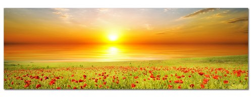 Panoramabilder auf Leinwand und Keilrahmen - Modernes Wandbild 'Mohnblumen Feld' (150x50cm) - Giclée Kunstdruck auf Leinwand mit Holzrahmen - Für Wohnzimmer und Schlafzimmer