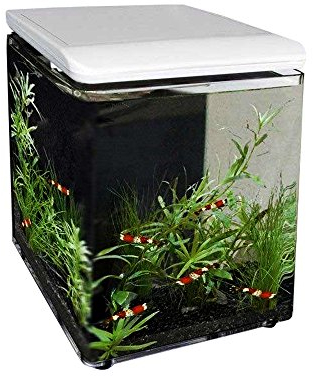 SuperFish 545250/1989 Home 8 Mini-Aquarium in Weiß
