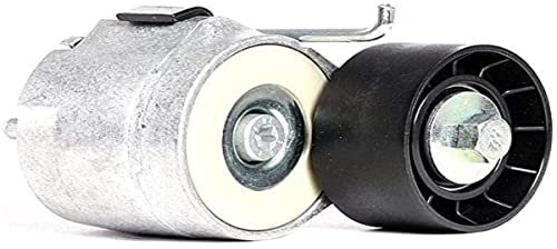DAYCO APV1078 TENDITORE AUTOM.New Panda-Punto-YPSILON