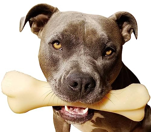 Nylabone Extreme, Kau- und Zahnspielzeug für Hunde, Hundeknochen, für aggressiv / Starke kauende, Hähnchengeschmack, für extra extra große Hunde über 23 kg, Monster-Knochen