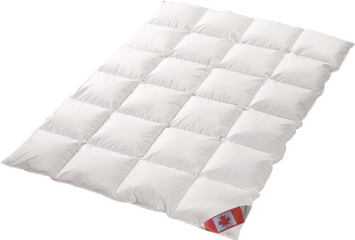Schäfer Ganzjahres Kassettenstegbett Polaris Premium canadische Daunen Daunenbett 100% Natur Gänsedaunenbett (135x200)
