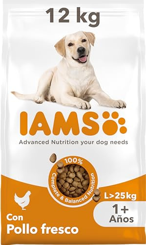 IAMS Adult Large Complete Dry Dog Food Chicken 12kg - With DentalCare System