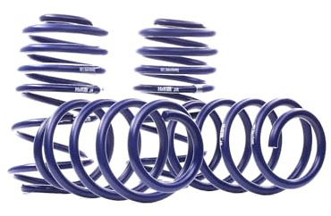 H&R 288001 Sportfedern