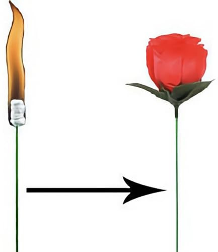 XTRAFAST Torch to Rose Feuer-Fackel zu Rose Zaubertrick Verwandlung Zaubern Lernen aus Feuer