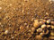 CommonBaits HANFMEHL geröstet 2,5Kg Rösthanf