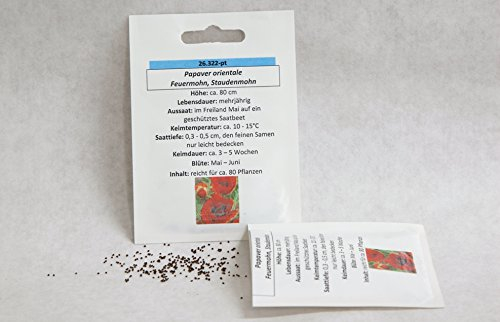 Feuer- oder Staudenmohn türkischer Mohn Garten Mohn Samen Saatgut ca.80 Pflanzen mehrjährig