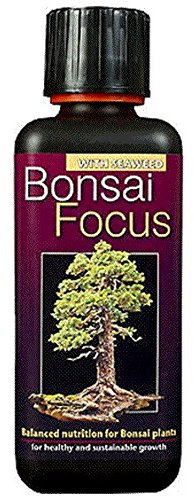 300ml Bonsai Focus professional Concentrated liquid plant feed Makes 60Litres - Made in the UK
