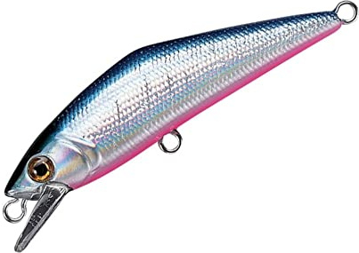 Smith D-Contact 50 couleur 22