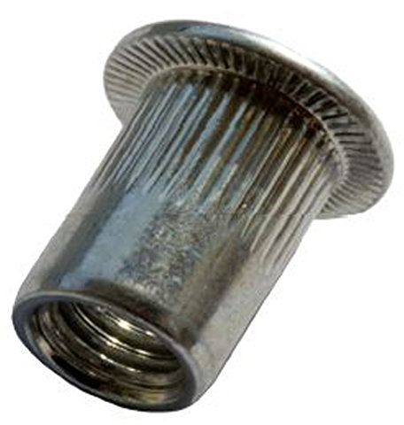 irsa24 10/20/50/100 dadi per rivetti ciechi in acciaio zincato a testa piatta (20, M10 x 22,0)