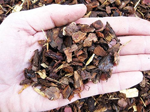 Corteccia di larice rossa portoghese 5/15 mm (1 kg - c.ca 5 lt)